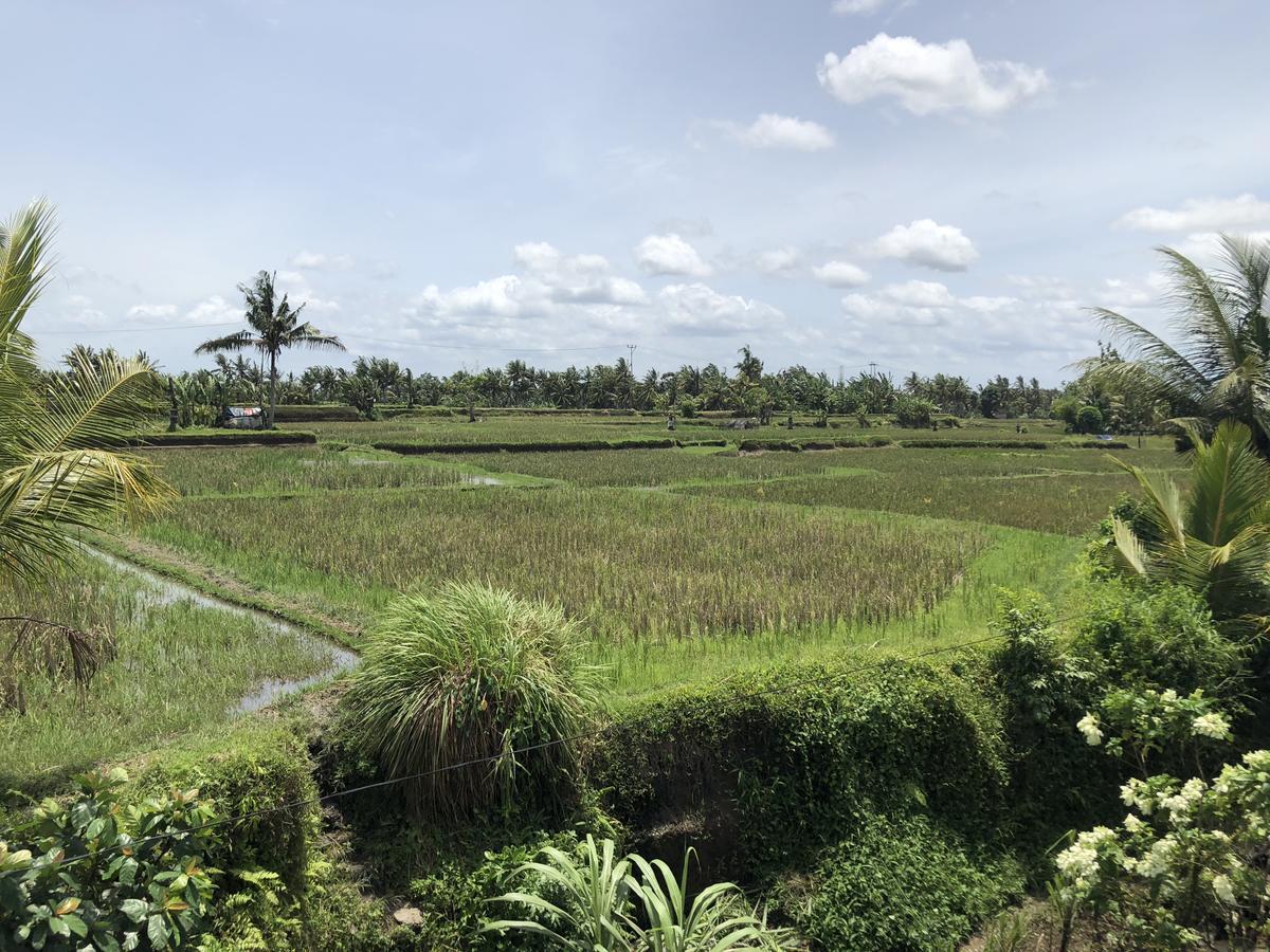 Hacco Capsule Hotel Ubud (Bali) Exterior photo